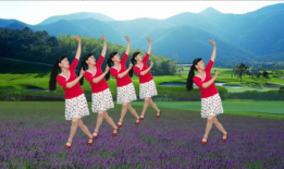 广场舞视频下载,跟随视频下载，舞动健康生活新篇章