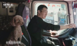 老司机吃瓜爆料央视视频,老司机吃瓜爆料背后的真相