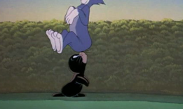 tom视频,轻松掌握短视频制作与传播技巧