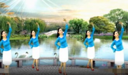 广场舞视频下载,跟随视频下载，舞动健康生活新篇章